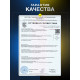Защитная пленка SBG "Микс Глянцевая и Матовая ЛЁГКАЯ-LITE до 11" дюймов (200*мм*300мм)" для планшета (20 шт)